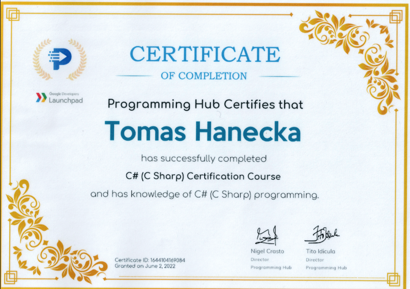 Certiifikát z Programming hub